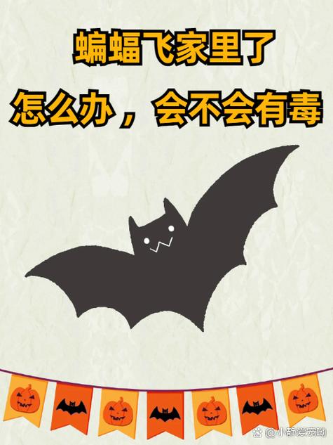 家里飞进蝙蝠怎么赶走