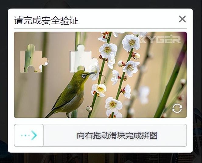 突然收到银行短信验证码是怎么回事