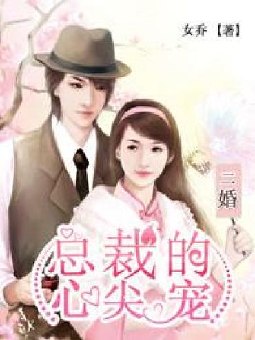 二婚总裁的心尖宠图标