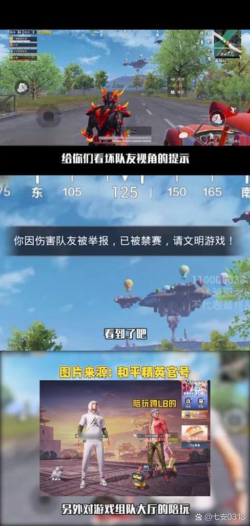 吃鸡队友开麦骂人可以举报吗缩略图