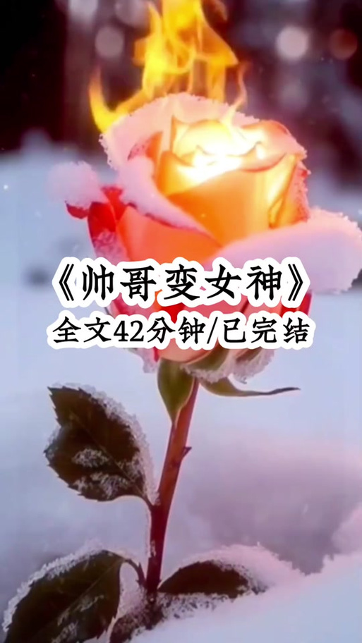 我一个男的绑定女神系统小说图标