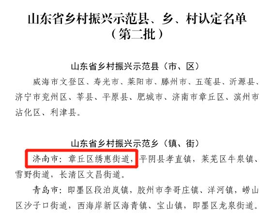 章丘人论坛用户评价图标