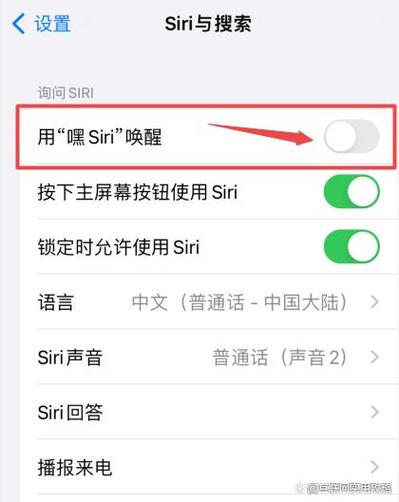 苹果手机怎么直接喊siri游戏截图