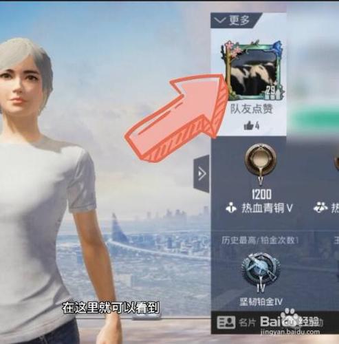 和平精英里面怎么换脸型图标
