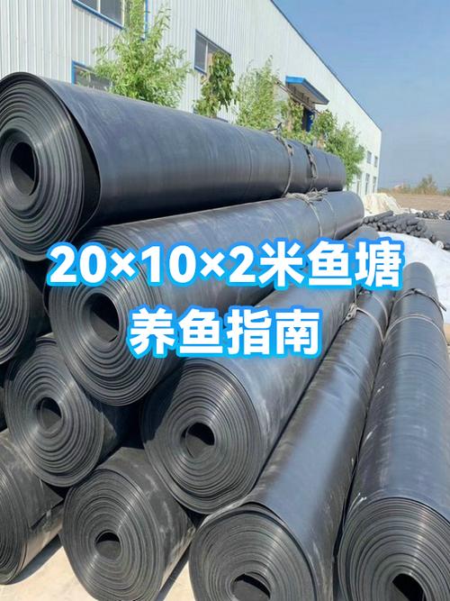 多多养鱼赚钱是真的吗图标