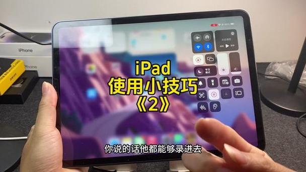 苹果平板怎么设置麦克风权限缩略图