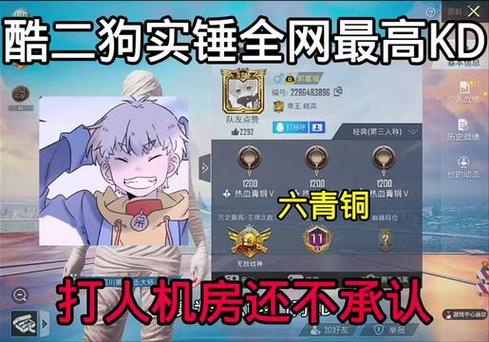 和平精英没有使用过的单字id图标