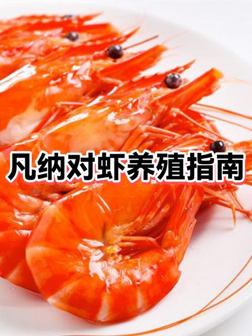 养虾需要什么条件和技术缩略图