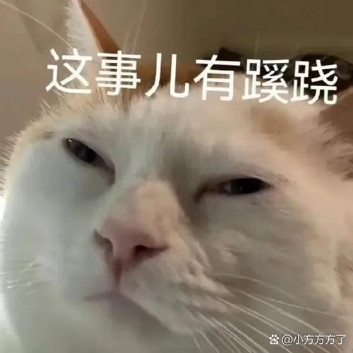 女朋友让我睡觉把流量给关了图标