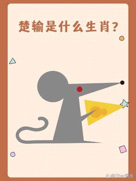 打仗的生肖正确答案