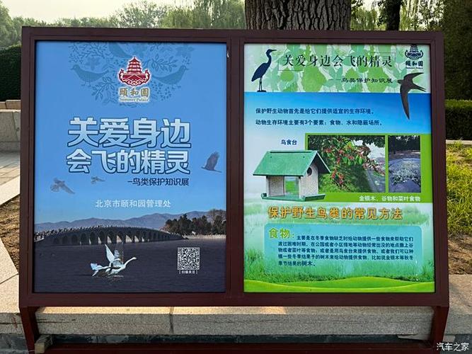 中国鸟类论坛官网入口图标