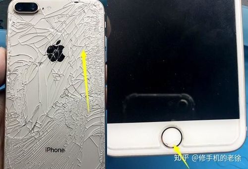 苹果8plus坏了指纹键可以修吗图标