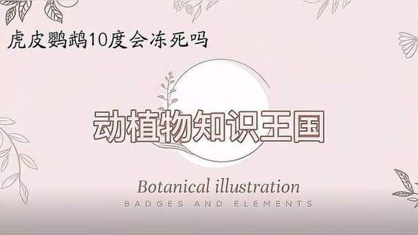 虎皮鹦鹉10度会冻死吗