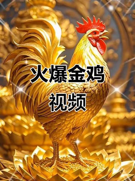金鸡短视频极速版下载图标