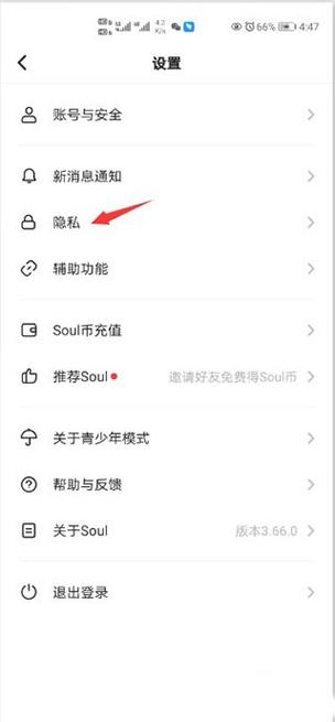 soul怎么隐藏在线状态游戏截图