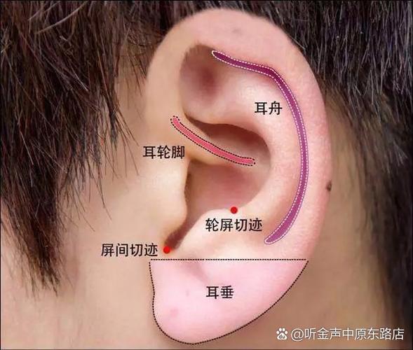 耳呜按揉哪个穴位最存效果缩略图
