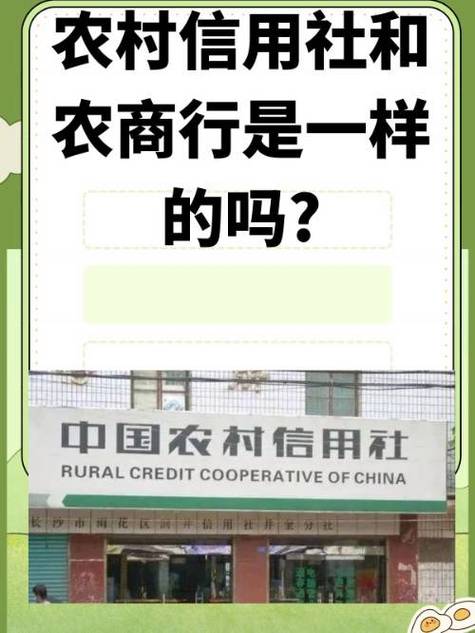 农村信用社的卡日限额怎样调整图标