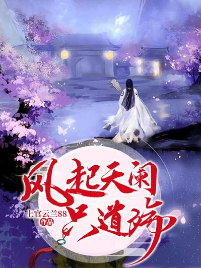 风阑小说作品集图标