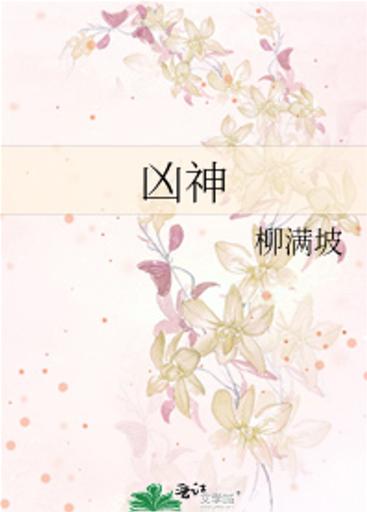 柳满坡的小说作品集百度云图标