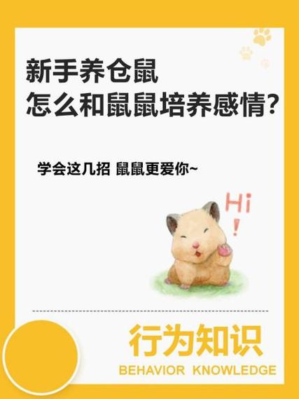 刚买回的仓鼠怎么处理图标