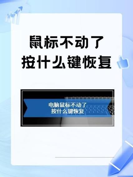 鼠标滚轮按下没反应