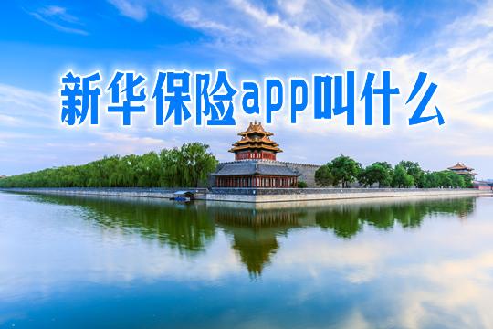 新华保险app官方下载安装