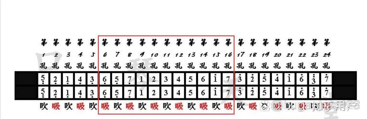 国光24孔复音口琴是全音阶还是半音阶缩略图