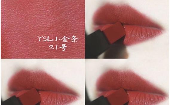 小金条21适合黄皮吗