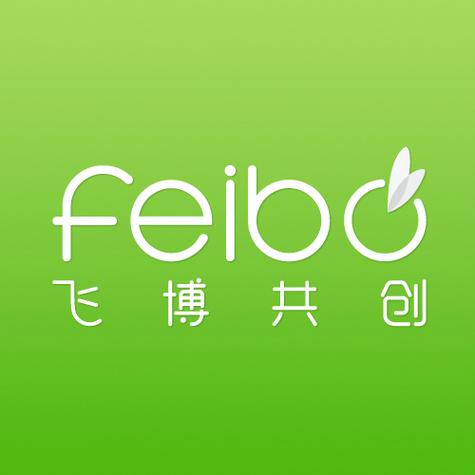 飞博共创网络科技股份有限公司