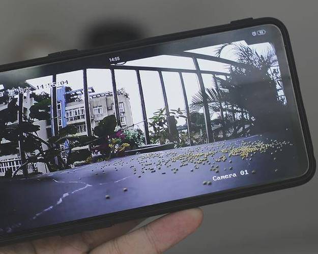 下载萤石云视频app下载安装游戏截图