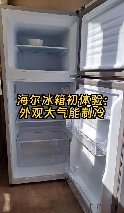 海尔冰箱突然不冷冻了怎么回事游戏截图