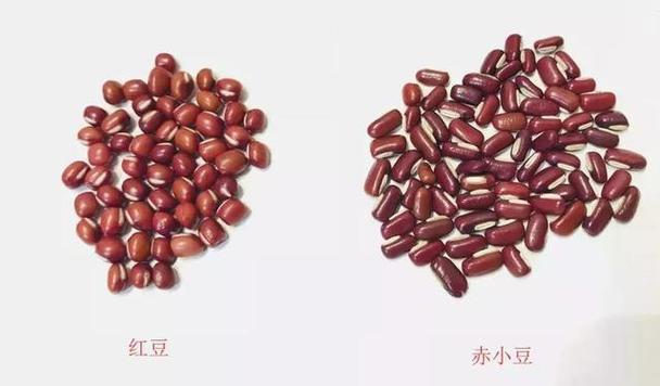 红豆和赤豆哪个祛湿好