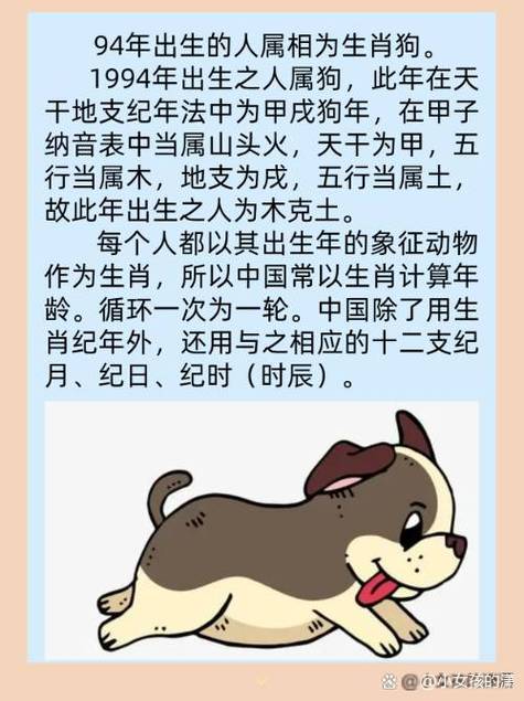94年的狗是啥命