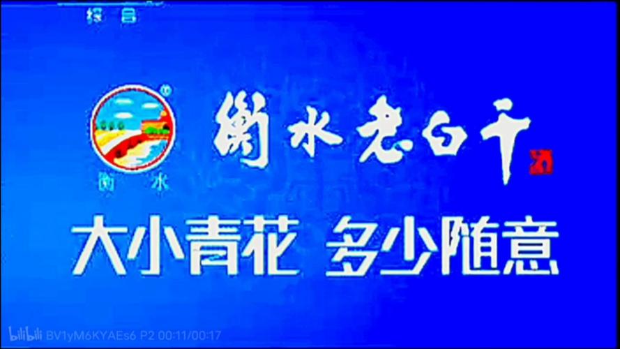 中央电视台黄金档剧场广告缩略图