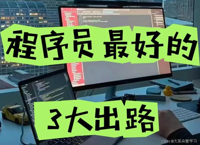 45岁程序员最聪明出路缩略图