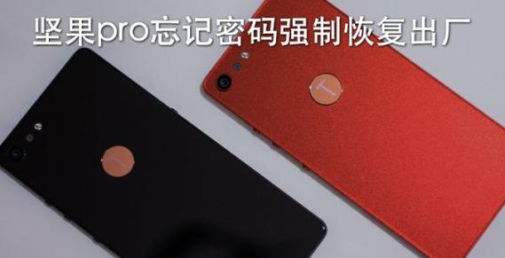 锤子手机忘记密码强制恢复出厂缩略图