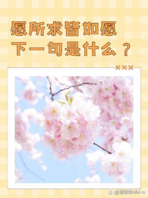 愿你一路繁花,所念皆所愿,所遇皆所求图标