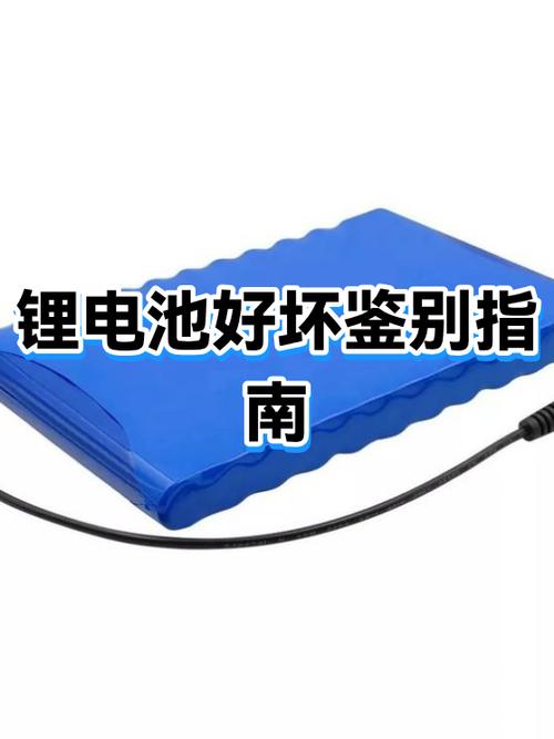 查锂电池好坏最简单方法游戏截图