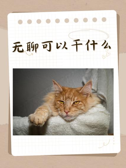 无聊在家可以做什么赚钱缩略图