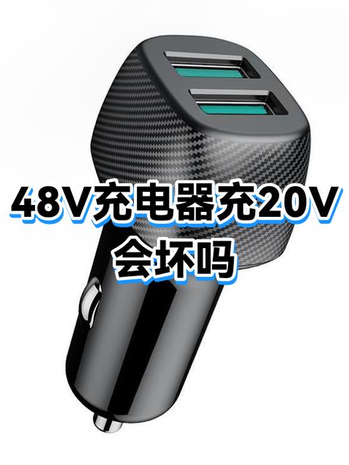 不好的充电器会把手机充坏吗游戏截图