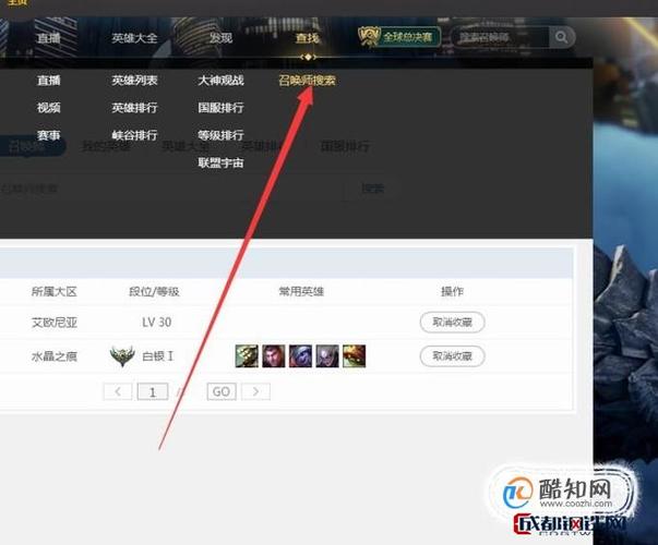 掌上英雄联盟看别人战绩别人知道吗