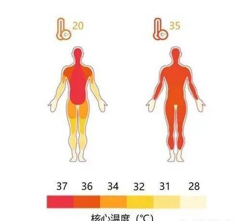 人体温度低温怎样处理缩略图