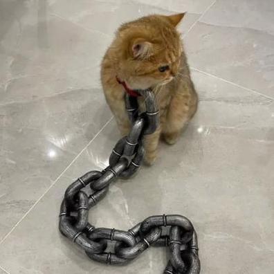 我的世界怎么把猫拴住