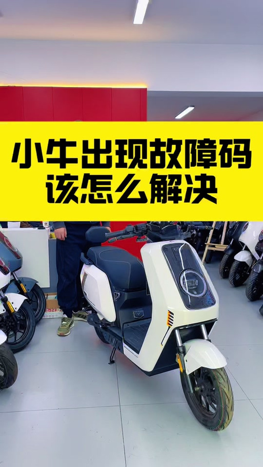 小牛电动车解码教程