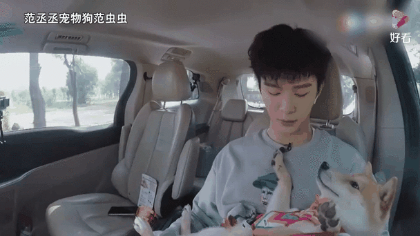 跳跳和悄悄的真名字叫什么缩略图