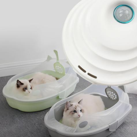 小猫身上骚味太重怎么办缩略图
