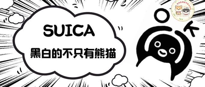 企鹅暗号是什么意思缩略图