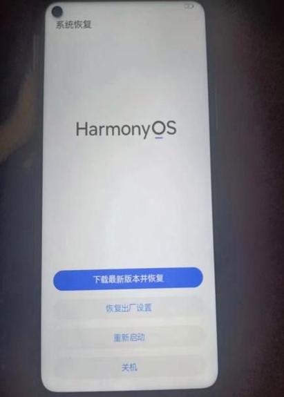 手机被重置了怎么恢复原来的数据缩略图