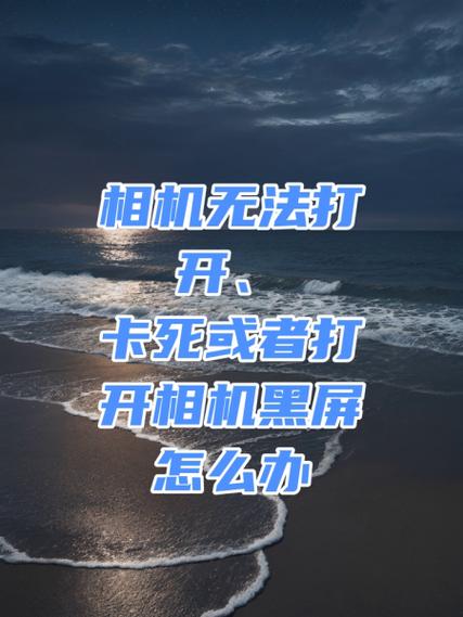 无法连接到相机,请重新启动相机