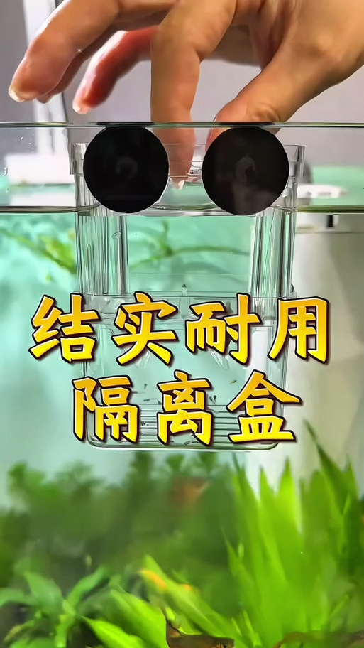 vivo应用隔离箱有用吗缩略图